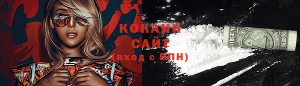 гидра Кинешма