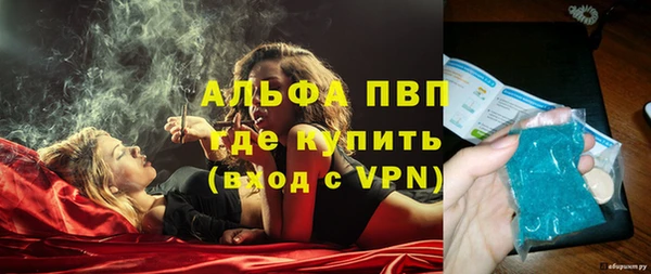 гидра Кинешма
