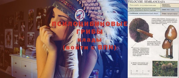 наркотики Киреевск