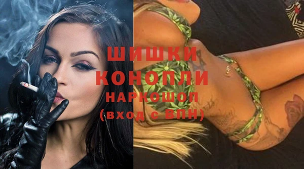 гидра Кинешма